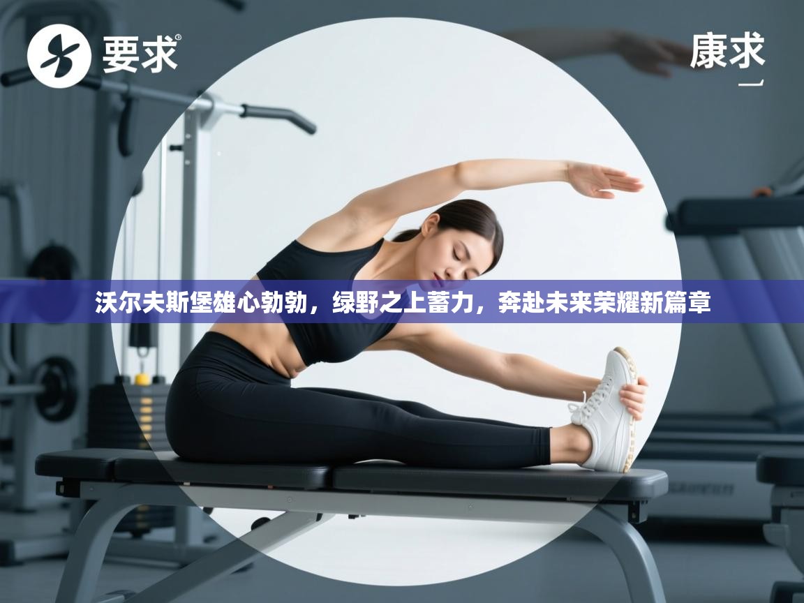 沃尔夫斯堡雄心勃勃，绿野之上蓄力，奔赴未来荣耀新篇章  第2张