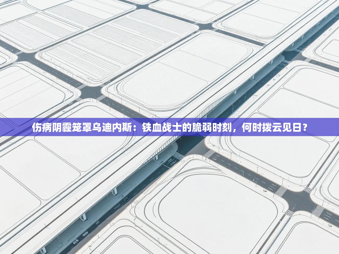 伤病阴霾笼罩乌迪内斯:铁血战士的脆弱时刻,何时拨云见日? 第2张