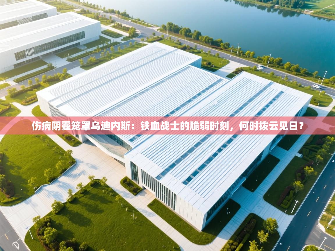 伤病阴霾笼罩乌迪内斯:铁血战士的脆弱时刻,何时拨云见日? 第1张