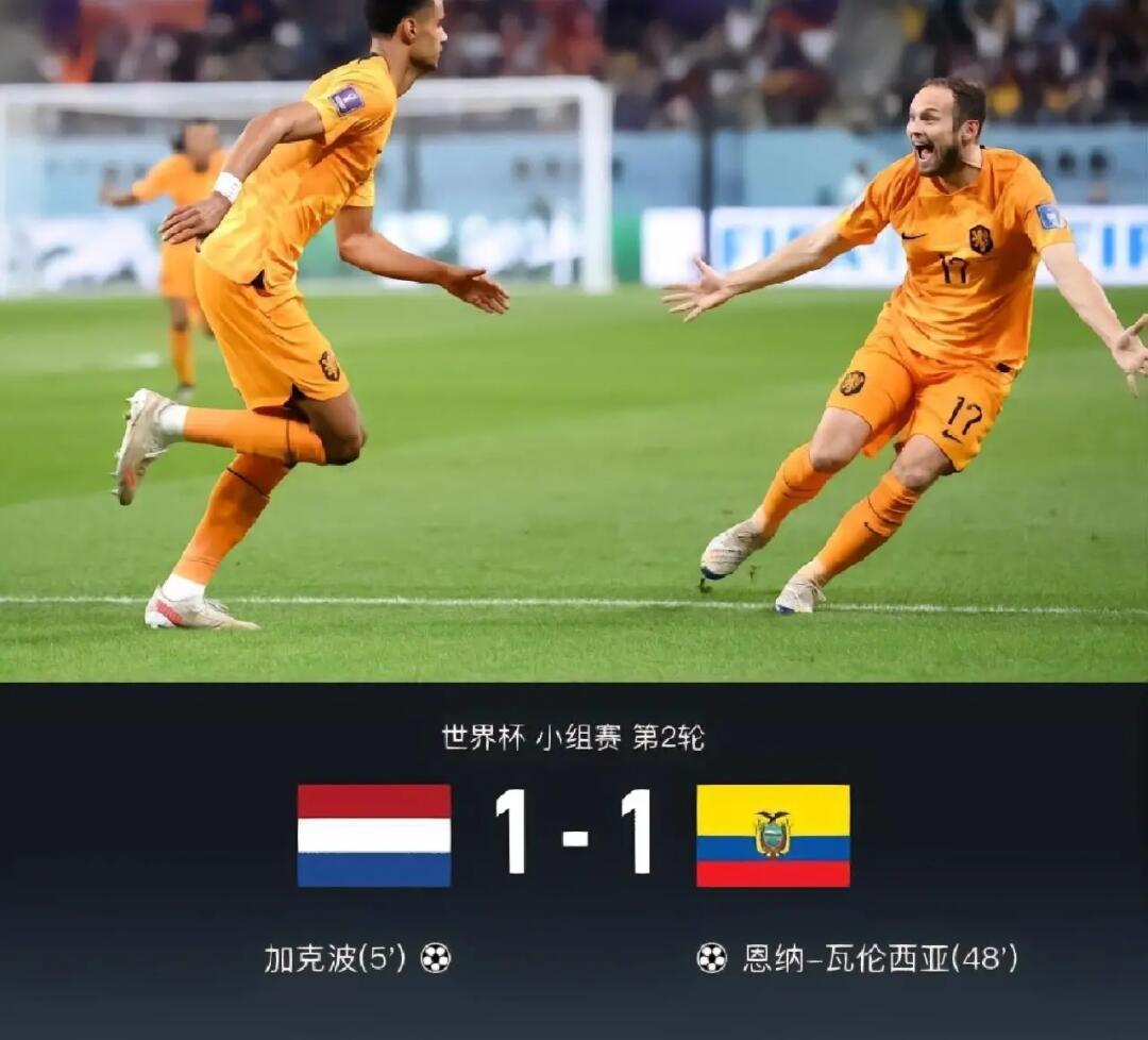 爱游戏注册-荷兰-战胜俄罗斯，取得小组第一的简单介绍